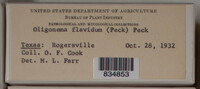 Image Associated With the Occurence